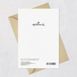 Hallmark The Man You Have Become Birthday Card For Son -Hallmark Gift Shop Abstract Landscape Painting Birthday Card for Son 699MAN4441 08