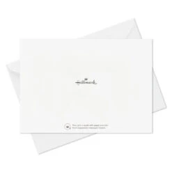 Hallmark Advice And Well Wishes Flat Note Cards, Pack Of 24 -Hallmark Gift Shop Advice and Well Wishes Blank Note Cards 3NOT1136 05