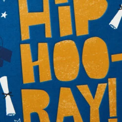 Hallmark Assorted Bold And Bright Graduation Cards, Box Of 12 -Hallmark Gift Shop Assorted Bold and Bright Graduation Cards Bulk Pack 5GEY2001 06