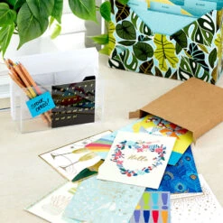 Hallmark Big Celebrations Assorted Cards, Box Of 12 -Hallmark Gift Shop Big Celebrations Assorted Cards Bulk Pack 5EDX1073 07