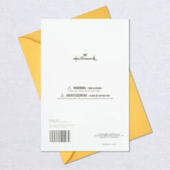 Hallmark T-Riffic Kid Birthday Card With Dinosaur Erasers -Hallmark Gift Shop Birthday Card With Dinosaur Erasers for Kids 659HFI1429 08