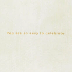 Hallmark So Easy To Celebrate You Birthday Card -Hallmark Gift Shop Birthday Party Table Birthday Card 859LAD4131 02