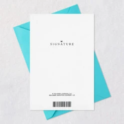 Hallmark So Easy To Celebrate You Birthday Card -Hallmark Gift Shop Birthday Party Table Birthday Card 859LAD4131 07