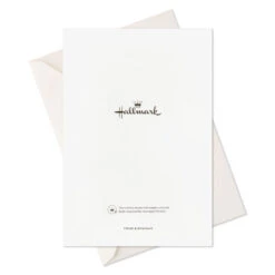 Hallmark Peace And Joy Bethlehem Scene Boxed Christmas Cards, Pack Of 16 -Hallmark Gift Shop Black and White Bethlehem Boxed Christmas Cards 1XPX2575 07