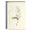 Hallmark Black-and-White Botanical Drawing Blank Card -Hallmark Gift Shop BlackandWhite Botanical Drawing Blank Card 699F1162 01
