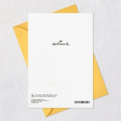 Hallmark You're All In And All Heart Birthday Card For Son With Removable Banner -Hallmark Gift Shop Blue AllStar Banner Birthday Card for Son 899MAN4292 08