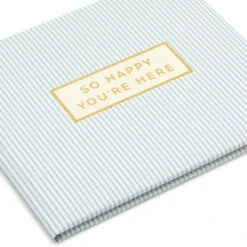 Hallmark So Happy You're Here Blue And White Striped Guest Book -Hallmark Gift Shop Blue and White Pinstripe Guest Book 1EDY3164 06