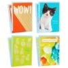 Hallmark Cheery And Bright Assorted Multi-Occasion Cards, Pack Of 8 -Hallmark Gift Shop Bold and Bright Assorted AllOccasion Cards 799WWZ1041 01