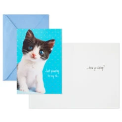 Hallmark Cheery And Bright Assorted Multi-Occasion Cards, Pack Of 8 -Hallmark Gift Shop Bold and Bright Assorted AllOccasion Cards 799WWZ1041 03