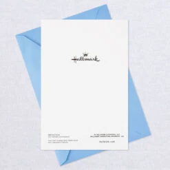 Hallmark Cheery And Bright Assorted Multi-Occasion Cards, Pack Of 8 -Hallmark Gift Shop Bold and Bright Assorted AllOccasion Cards 799WWZ1041 09