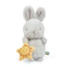 Bunnies By The Bay Sweet Bloom Bunny Stuffed Animal With Toy Sun, 9" -Hallmark Gift Shop Bunnies by the Bay Gray Bunny Stuffed Animal With Toy Sun 104327 01