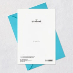 Hallmark Wise And Wonderful Woman Birthday Card For Sister -Hallmark Gift Shop Butterflies Birthday Card for Sister 799FBD7219 07