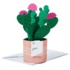 Hallmark Cactus Looking Sharp 3D Pop-Up Card -Hallmark Gift Shop Cactus Pop Plant 3D PopUp Card 699WDR1198 01