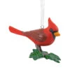 Cardinal Bird Hallmark Ornament -Hallmark Gift Shop Cardinal Bird Christmas Ornament 1HGO3435 01