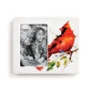 Demdaco Spring Cardinal Ceramic Picture Frame, 4x6 -Hallmark Gift Shop Cardinal Illustration on White Ceramic Picture Frame 1004610085 01