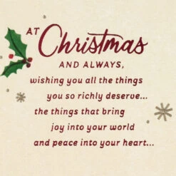 Hallmark No One Like You Christmas Card For Son -Hallmark Gift Shop Cardinal on Snowy Branch Son Christmas Card 699XZH1915 02