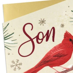Hallmark No One Like You Christmas Card For Son -Hallmark Gift Shop Cardinal on Snowy Branch Son Christmas Card 699XZH1915 05