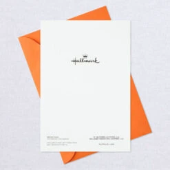 Hallmark Nostalgic Critters Assorted Halloween Cards, Pack Of 8 -Hallmark Gift Shop Cats Pumpkins and More Assorted Halloween Cards 699H2367 08