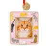 Playful Kitties Photo Frame Hallmark Ornament -Hallmark Gift Shop Cats on Pink Photo Frame Christmas Ornament 1HGO3592 01