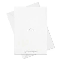 Hallmark Colorful Classic Boxed All-Occasion Cards Assortment, Pack Of 12 -Hallmark Gift Shop Celebrate Assorted Boxed AllOccasion Cards 3EDX1204 10