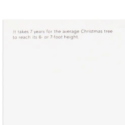 Hallmark UNICEF Here Comes Christmas Boxed Christmas Cards, Pack Of 12 -Hallmark Gift Shop Children With Christmas Tree Boxed Christmas Cards 1URS2301 05