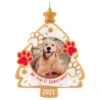 Hallmark My Fur-st Christmas 2025 Photo Frame Ornament -Hallmark Gift Shop Christmas Tree Cookie Pet Frame Keepsake Ornament 5QGO1902 01