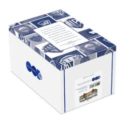 Hallmark National Lampoon's Christmas Vacation™ The RV Glass Ornament -Hallmark Gift Shop Christmas Vacation RV Keepsake Ornament 7499QEP3017 05