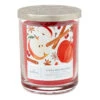Hallmark Cinnamon Wishes 3-Wick Jar Candle, 16 Oz. -Hallmark Gift Shop Cinnamon Wishes 3Wick Jar Candle 1BGC1073 01