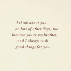 Hallmark Wishing Good Things For You Birthday Card For Brother -Hallmark Gift Shop Circle Patterns Birthday Card for Brother 659MAN3939 03