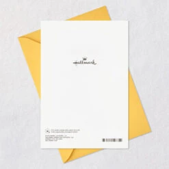 Hallmark Our Kind Of Family Abstract Shapes Birthday Card -Hallmark Gift Shop Colorful Abstract Birthday Card for StepSister or Cousin 759FBD4967 07