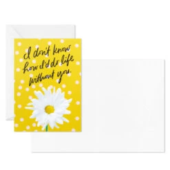 Hallmark Colorful Daisies Boxed Thank-You Notes, Pack Of 50 -Hallmark Gift Shop Colorful Daisies Boxed ThankYou Notes 3THK2543 04