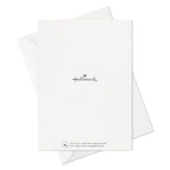 Hallmark Colorful Daisies Boxed Thank-You Notes, Pack Of 50 -Hallmark Gift Shop Colorful Daisies Boxed ThankYou Notes 3THK2543 07