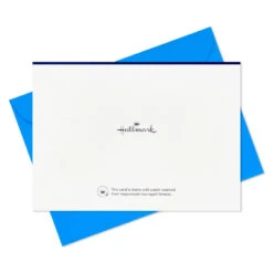 Hallmark Bright And Cheery Assorted Blank Boxed Notes, Pack Of 24 -Hallmark Gift Shop Colorful MultiOccasion Blank Boxed Note Cards Pack 3SOM1349 05