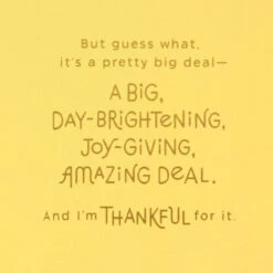 Hallmark So Thankful For Your Amazing Kindness Thank You Card -Hallmark Gift Shop Confetti Shaker Thank You Card 899T2324 02