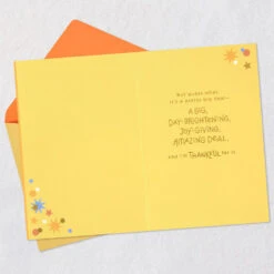 Hallmark So Thankful For Your Amazing Kindness Thank You Card -Hallmark Gift Shop Confetti Shaker Thank You Card 899T2324 03