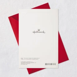 Hallmark The Best Gifts Romantic Christmas Card -Hallmark Gift Shop Couple in Snow Romantic Christmas Card 699XZH2346 07