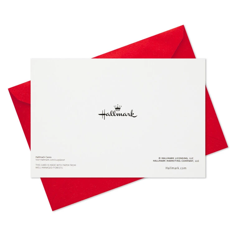 Hallmark Cozy Snowman And Flurries Boxed Christmas Cards, Pack Of 40 9 Hallmark Cozy Snowman And Flurries Boxed Christmas Cards, Pack Of 40 - Image 7