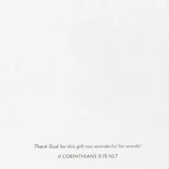 Hallmark DaySpring Wintry Night With Cardinals And Church Boxed Christmas Cards, Pack Of 16 -Hallmark Gift Shop DaySpring Cardinals Church Boxed Christmas Cards 1DSH1041 04