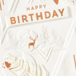 Hallmark Another Year Of Amazing You Birthday Card -Hallmark Gift Shop Deer in Woods Birthday Card for Him 859LAD3233 04