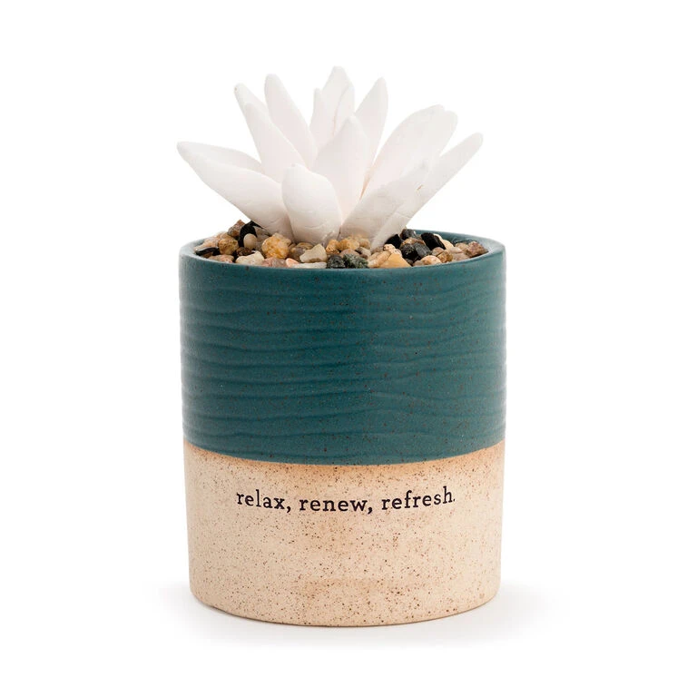 Demdaco Relax Succulent Oil Diffuser 3 Demdaco Relax Succulent Oil Diffuser