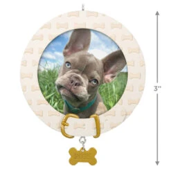Hallmark Faithful Friend 2025 Personalized Ornament, Custom Photo -Hallmark Gift Shop Dog Collar With Bones Frame Personalized Ornament 3QHE2163B1 04