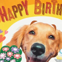 Hallmark The Hero We Depend On Pop-Up Birthday Card For Dad -Hallmark Gift Shop Dog Doing Chores PopUp Birthday Card for Dad 699MAN3823 06