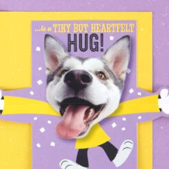 Hallmark Hugging Dog Pop-Up Birthday Card With Mini Cards -Hallmark Gift Shop Dog With Lots of Wishes Birthday Card 659HBD4550 03
