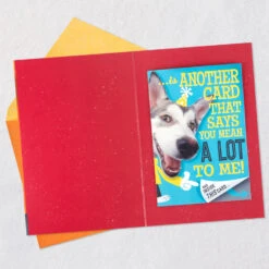 Hallmark Hugging Dog Pop-Up Birthday Card With Mini Cards -Hallmark Gift Shop Dog With Lots of Wishes Birthday Card 659HBD4550 04