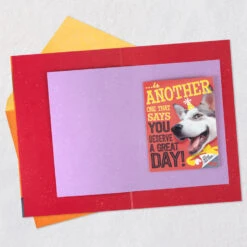 Hallmark Hugging Dog Pop-Up Birthday Card With Mini Cards -Hallmark Gift Shop Dog With Lots of Wishes Birthday Card 659HBD4550 05