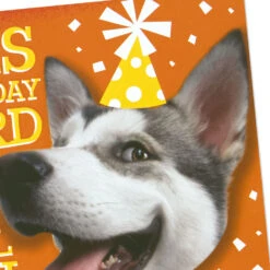 Hallmark Hugging Dog Pop-Up Birthday Card With Mini Cards -Hallmark Gift Shop Dog With Lots of Wishes Birthday Card 659HBD4550 07