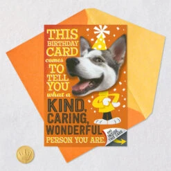 Hallmark Hugging Dog Pop-Up Birthday Card With Mini Cards -Hallmark Gift Shop Dog With Lots of Wishes Birthday Card 659HBD4550 08
