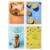 Hallmark Sunny And Sweet Assorted Multi-Occasion Cards, Pack Of 4 -Hallmark Gift Shop Dog and Cat Just Because Cards Pack With Stickers 3JBC1001 01