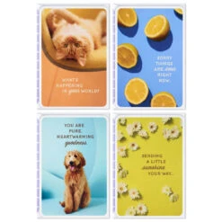 Hallmark Sunny And Sweet Assorted Multi-Occasion Cards, Pack Of 4
