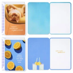 Hallmark Sunny And Sweet Assorted Multi-Occasion Cards, Pack Of 4 -Hallmark Gift Shop Dog and Cat Just Because Cards Pack With Stickers 3JBC1001 03